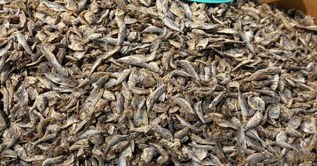 Suszone rybki – naturalne źródło białka, wapnia i kwasów omega-3 w wygodnej wersji