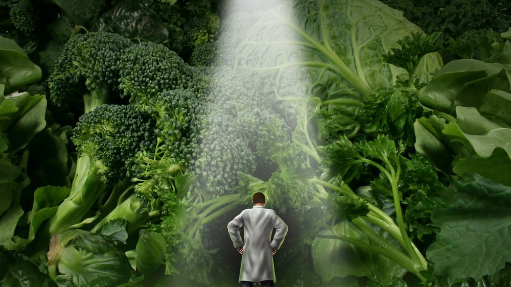 Zielone warzywa są prawdziwą bombą witaminową, dlatego powinny znaleźć się w diecie każdego z nas.