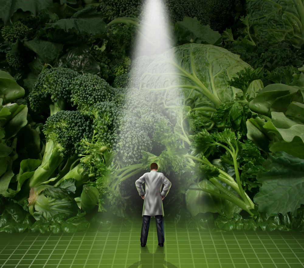 Co jest zdrowsze – szpinak czy jarmuż?