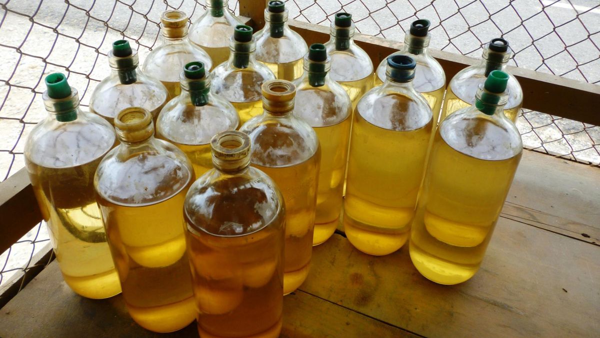 Oliwa z oliwek zawiera cenne kwasy omega-3