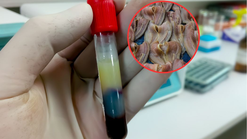 Zbija trójglicerydy. Wystarczy jedna zmiana w diecie