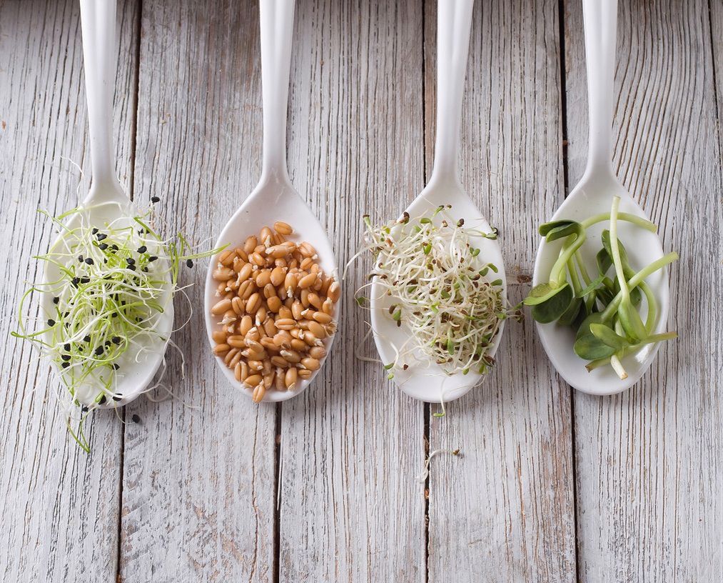 Kiełki to bomba witaminowa