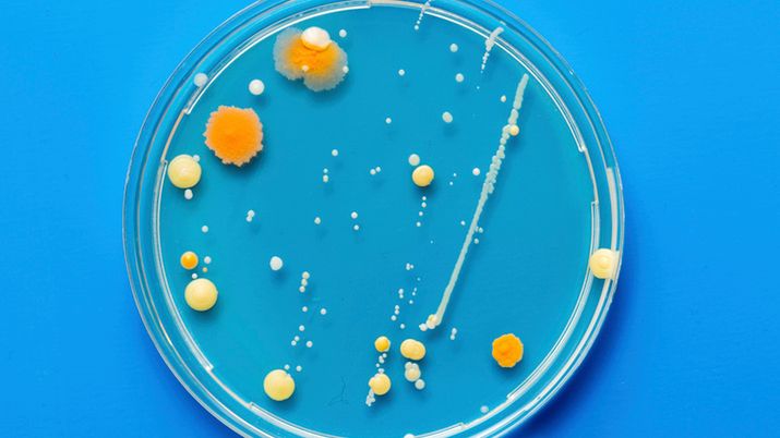 Zespół Hioba to rzadki niedobór odporności.