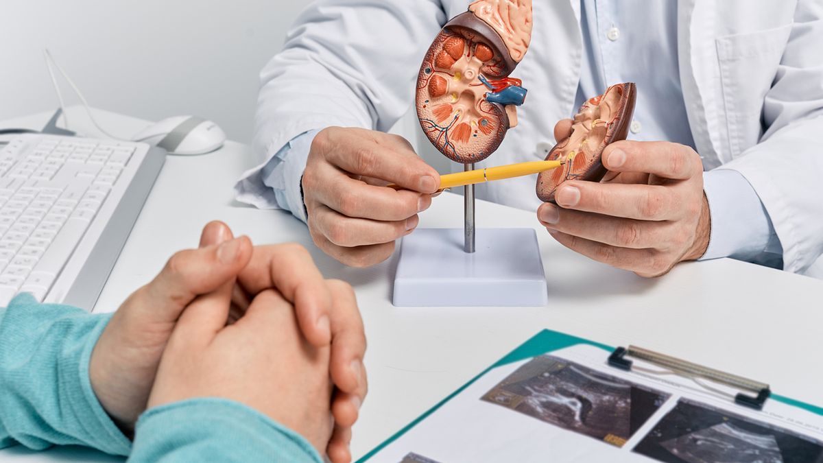 Biopsja nerki to badanie diagnostyczne wymagające pobrania próbki tkanki narządu.