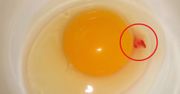 Czerwona plamka w jajku? Niewiele osób wie, co naprawdę oznacza