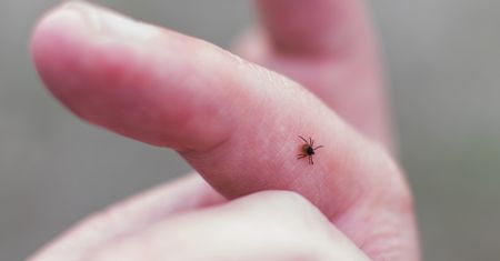 Zanikowe zapalenie skóry – przyczyny, objawy i leczenie