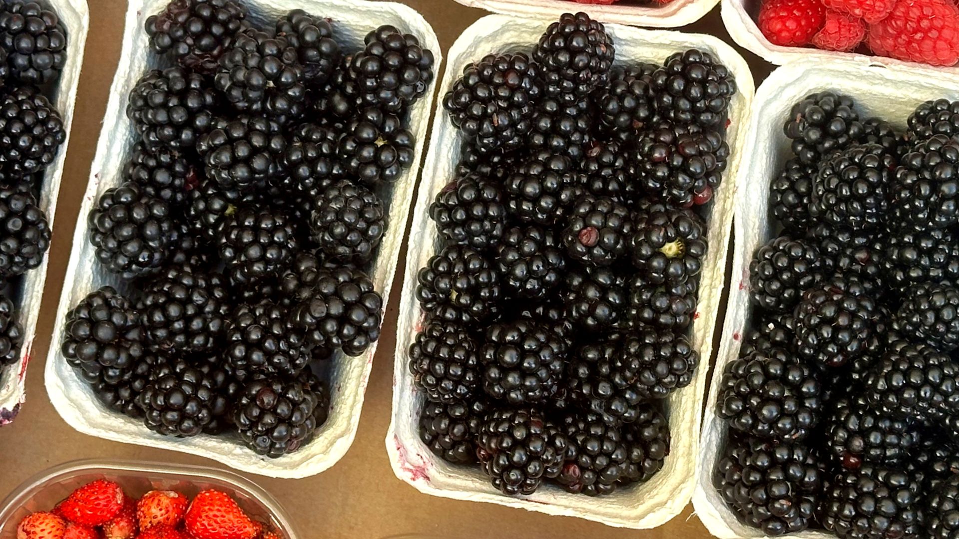 Jeżyny zawierają antyoksydanty, dzięki czemu zmniejszają ryzyko miażdżycy i innych chorób serca.