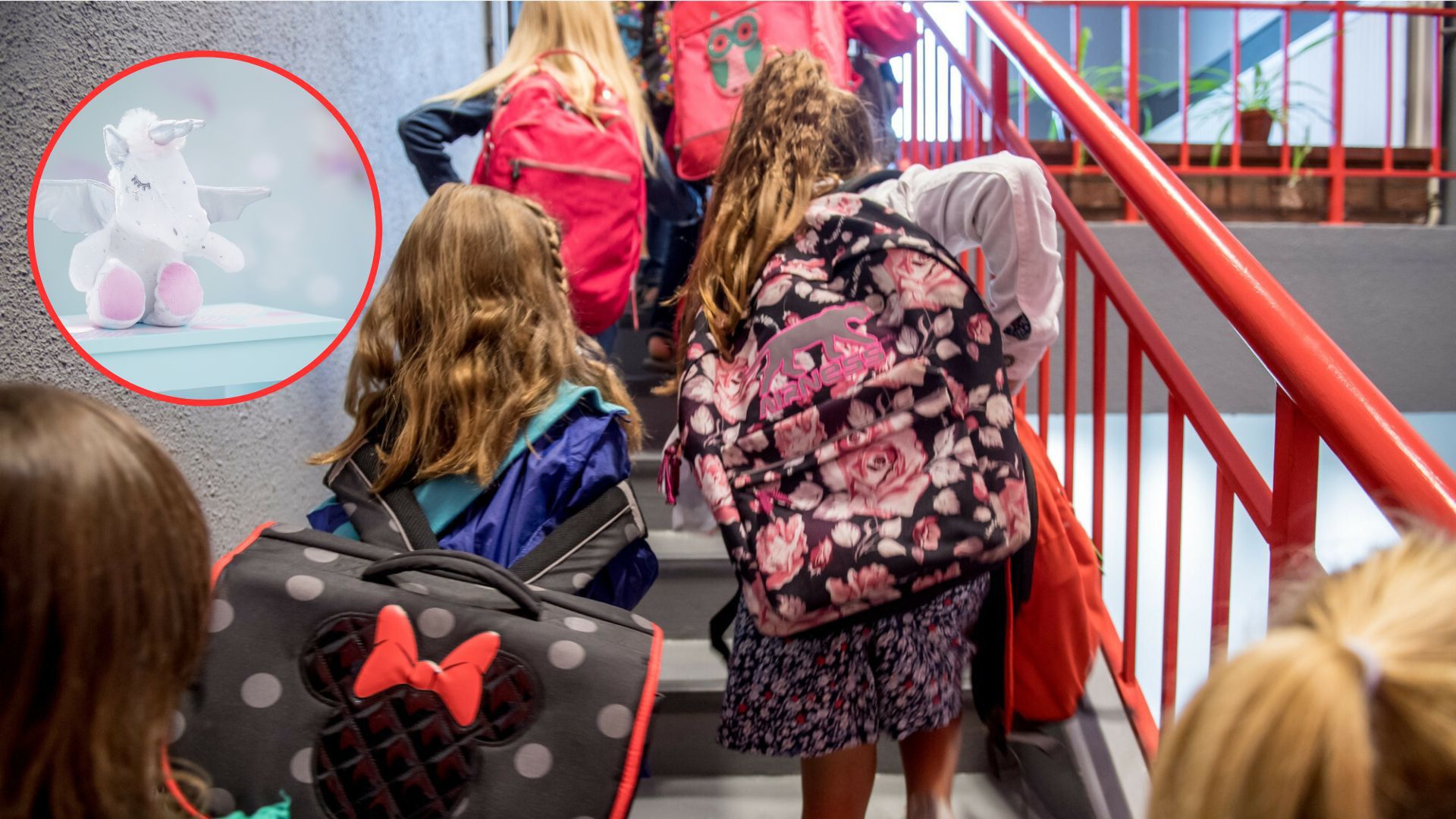 zdjęcie ilustracyjne 