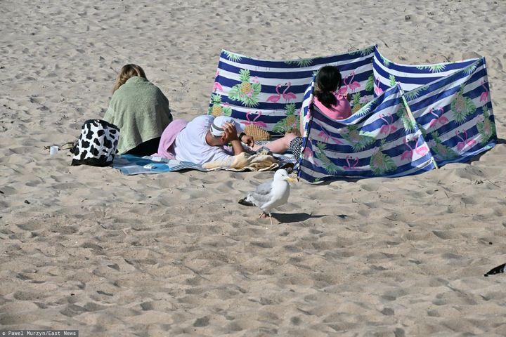 "Wojna ręcznikowa" na plaży. Nadmorskie kurorty walczą z turystami