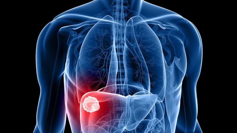 Nałogi szkodzą wątrobie