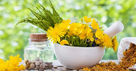 Leki homeopatyczne dla podróżnika
