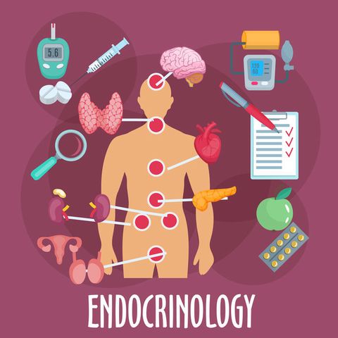 Endokrynolog jest lekarzem specjalistą, do którego zgłasza się mnóstwo osób.