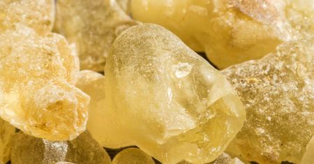Żywica Boswellia - cud natury