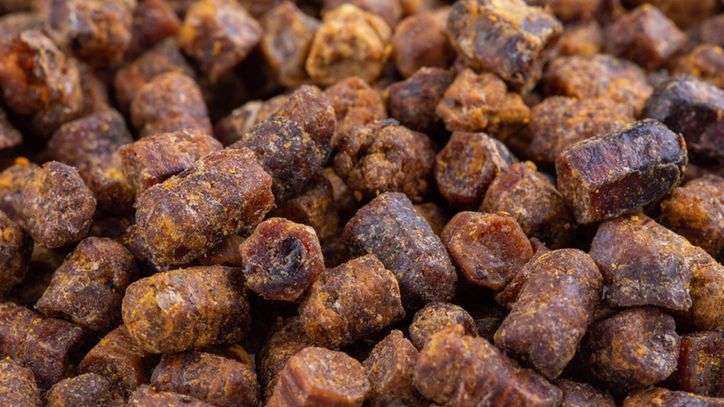 Naturalny antybiotyk od pszczół