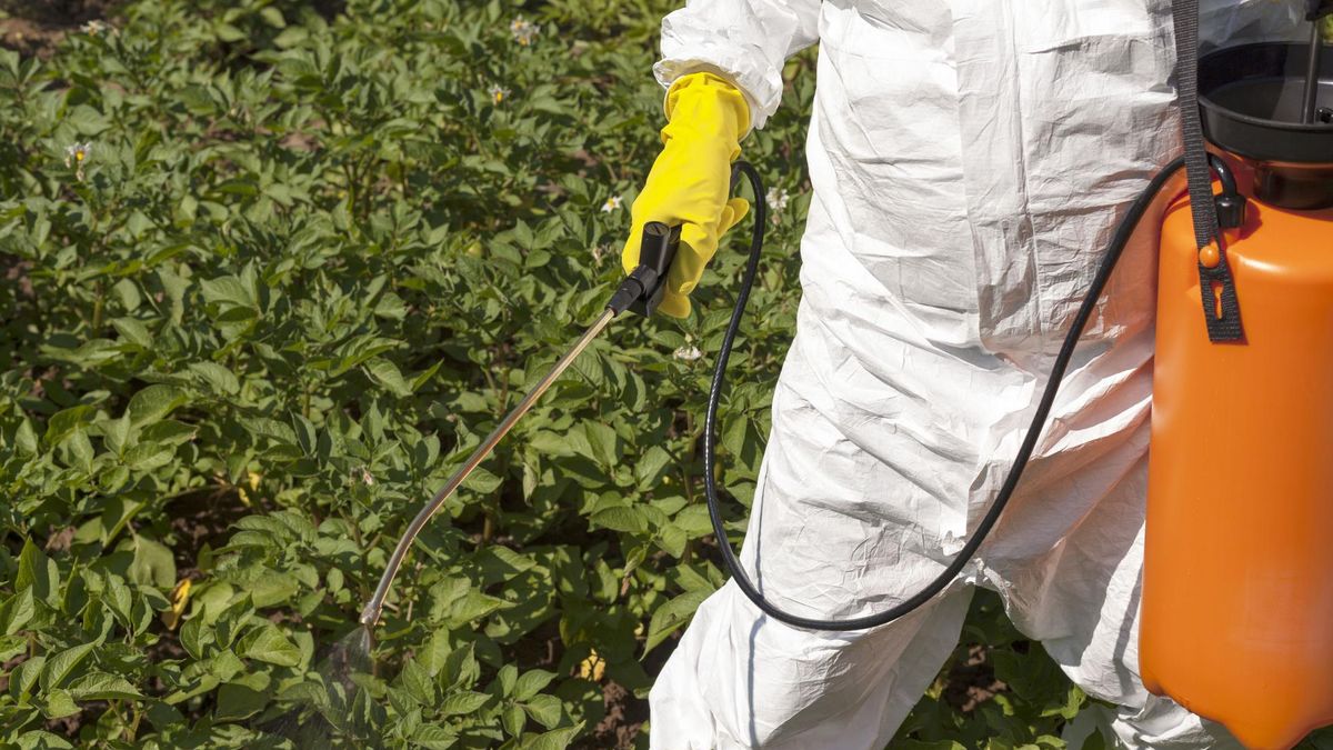 Rodzaje toksyn rakotwórczych