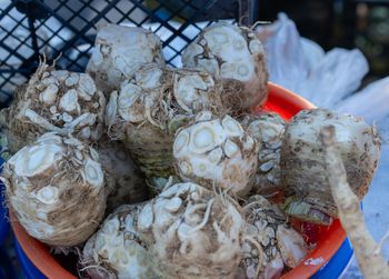 Obowiązkowy w diecie po 60. roku życia. Biały korzeń gasi stany zapalne