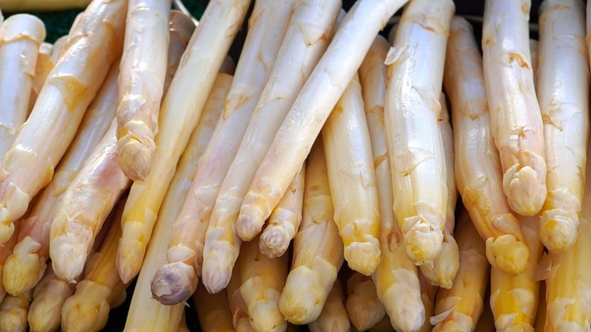 Szparagi mogą kumulować metale ciężkie