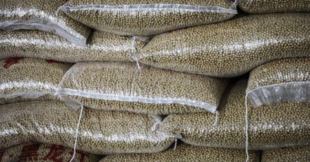 Zapobiegają rozwojowi cukrzycy. Lekarz wskazuje trzy najlepsze produkty