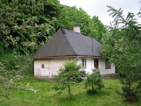 Obraz