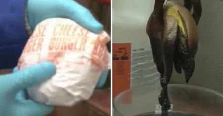 Oto, co dzieje się w żołądku po zjedzeniu hamburgera z McDonald’s. Ten eksperyment wstrząsnął światem