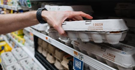 Auchan wycofuje ze sprzedaży jajka. Wykryto groźną bakterię