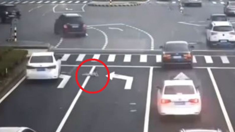 O krok od tragedii. Kierowca nawet nie zauważył