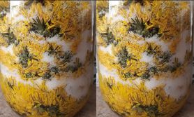 Czyści płuca jak odkurzacz. Najlepsze lekarstwo możesz mieć za darmo