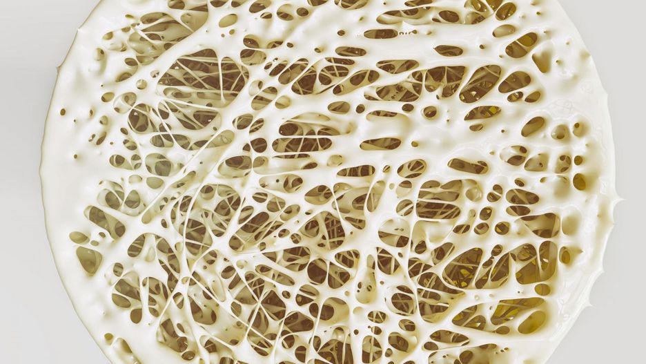 Wapń to podstawowy i główny budulec kości