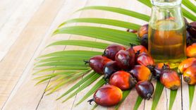 Olej palmowy – dlaczego musisz go unikać? (WIDEO)
