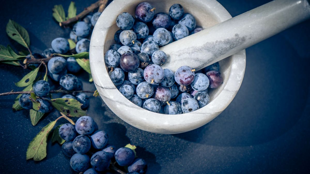 Garbniki roślinne mają właściwości prozdrowotne i lecznicze.