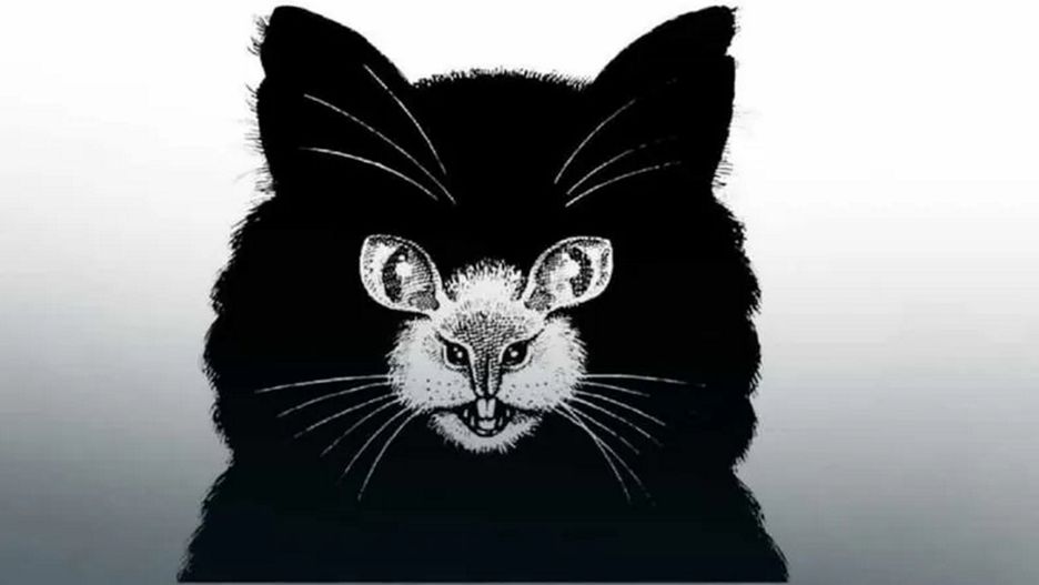 Kot czy mysz? Prosty test obrazkowy ujawni, czy jesteś perfekcjonistą