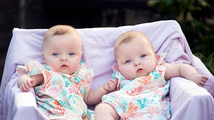 Chociaż Dakota i Scarlett nie miały dużych szans na przeżycie, teraz rosną i zdrowo się rozwijają