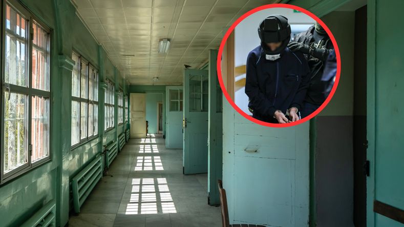 O niepoczytalności sprawcy orzekają biegli