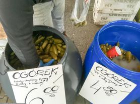 Często jesz ogórki kiszone? Dietetycy mówią, jakich zmiany zachodzą