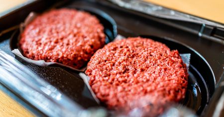 GIS ostrzega. Groźna bakteria w hamburgerach z Biedronki