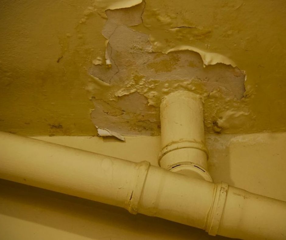 Stan łazienek w szkole 