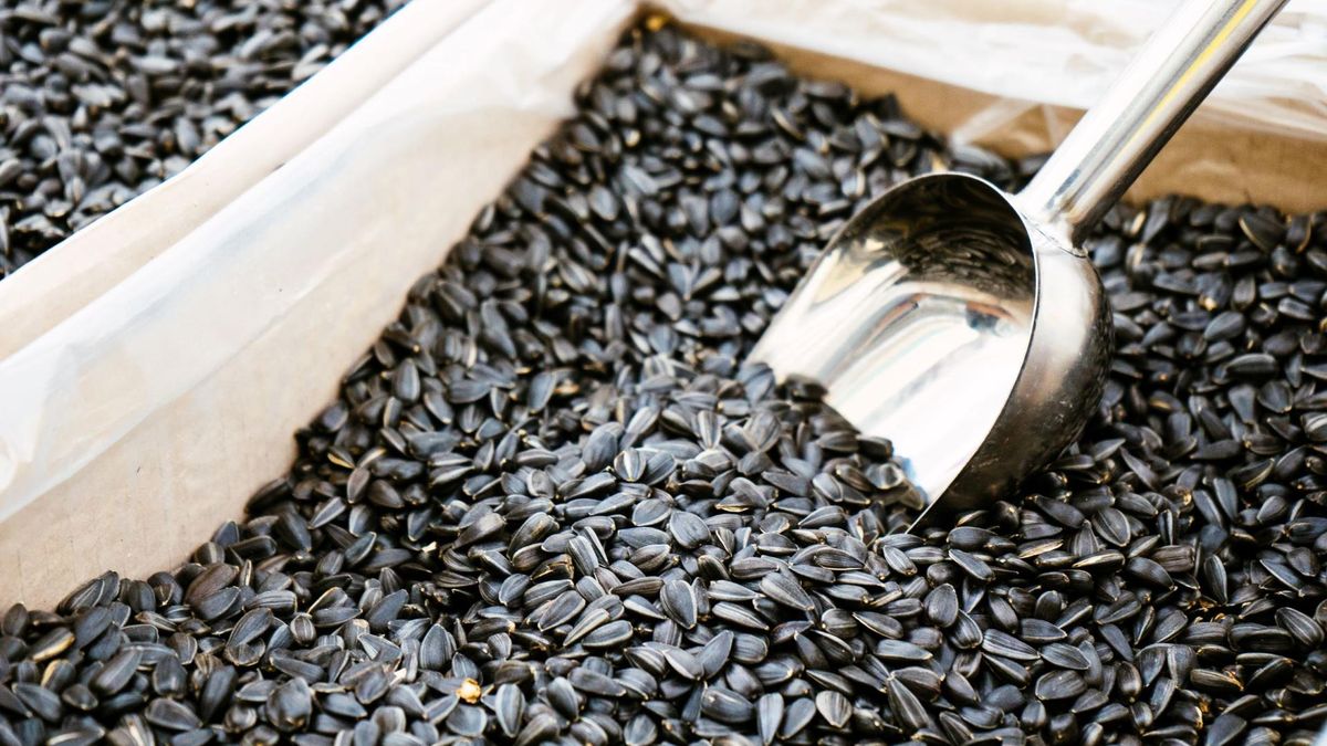 Pestki słonecznika to wygodne i dobrze przyswajalne źródło cynku.