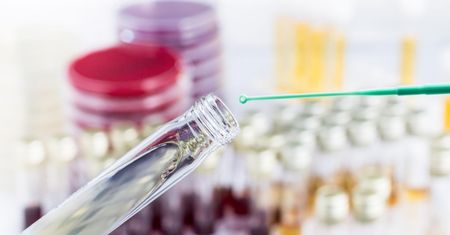 Te grzyby produkują antybiotyk na gronkowca i wąglik