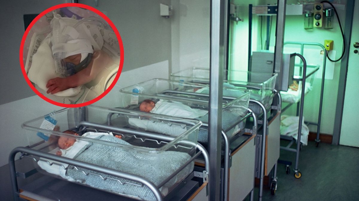 Niezwykłe narodziny w Toruniu