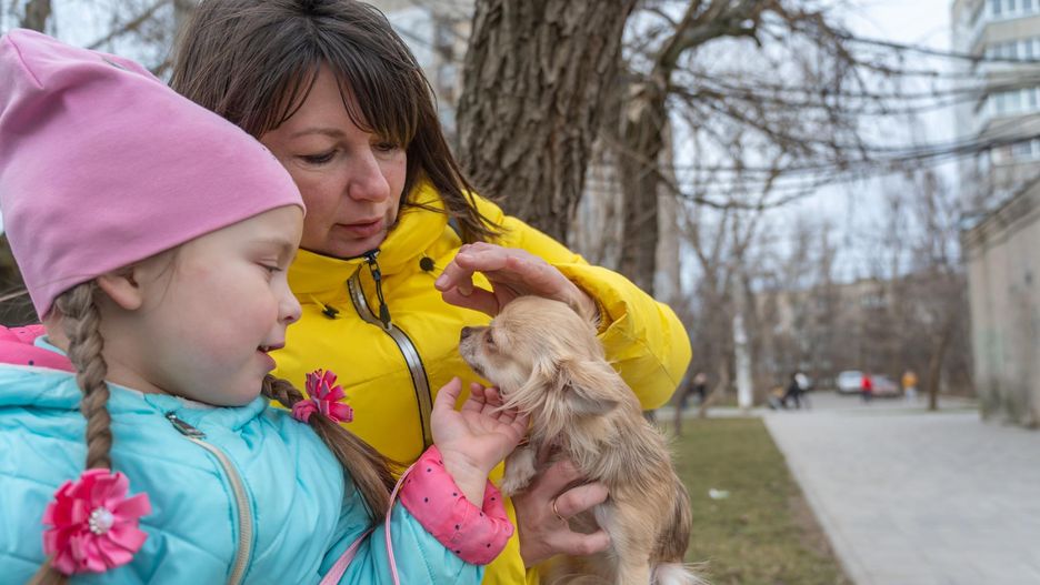 Rodzicie często popełniają wiele błędów, które w przyszłości mogą rzutować na relację psa z dzieckiem