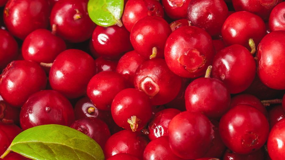 Napój dobry dla tarczycy