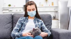 Alergik i jego mieszkanie