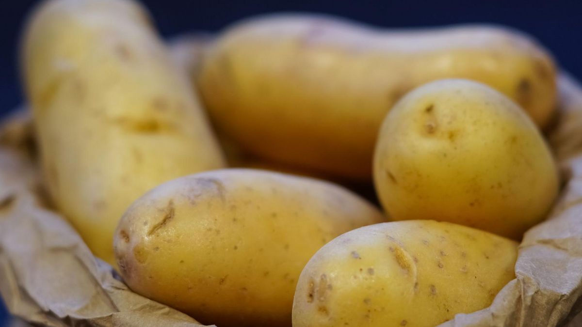 Skórka ziemniaka - więcej zalet niż sam ziemniak