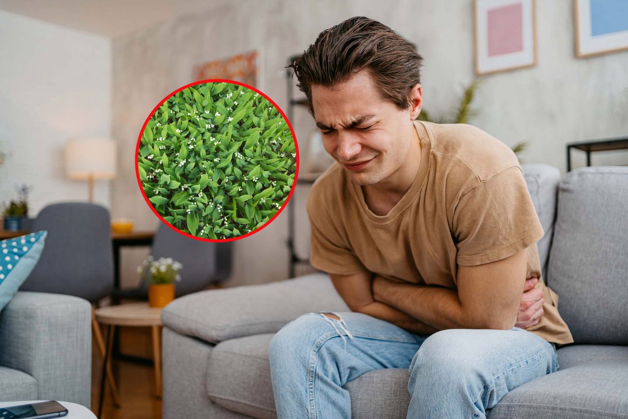 Najbardziej trujące rośliny w Polsce. "Halucynacje, a nawet uszkodzenia mózgu"