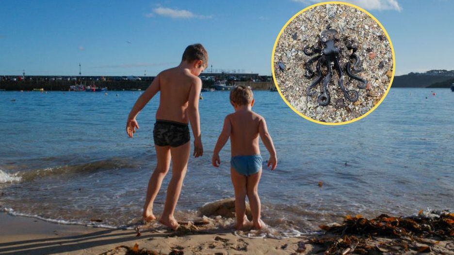 Wyjątkowy klocek Lego