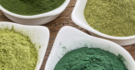 7 naturalnych sproszkowanych substancji dobrych dla jelit
