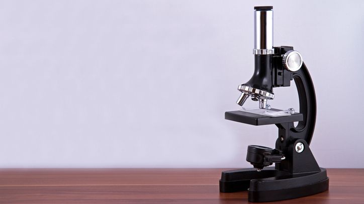 Mikroskop pozwoli dziecku rozwijać zainteresowania, a przy tym poszerzać wiedzę z dziedzin takich jak biologia czy geologia
