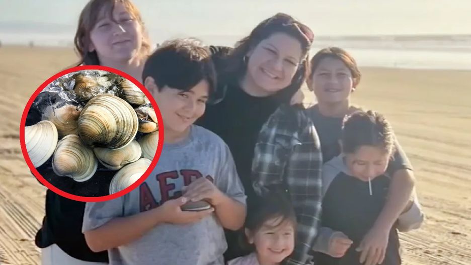 Rodzina musiała zapłacić wysoki mandat. "Okazało się, że to nie były muszelki"