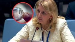 Żółta gorączka wraca. "Kryzys przyćmiłby nawet pandemię COVID-19"