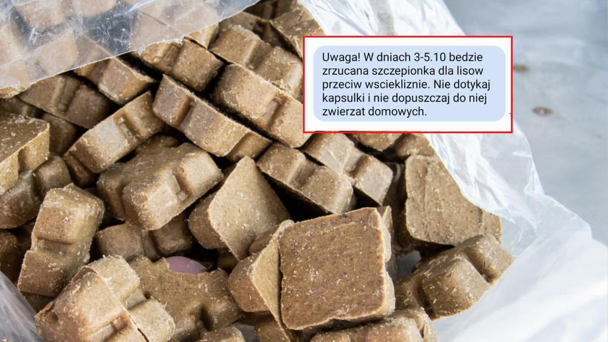 Szczepionka na wściekliznę